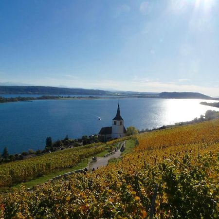 Bed And Breakfast La Petite Thielle Cressier Buitenkant foto