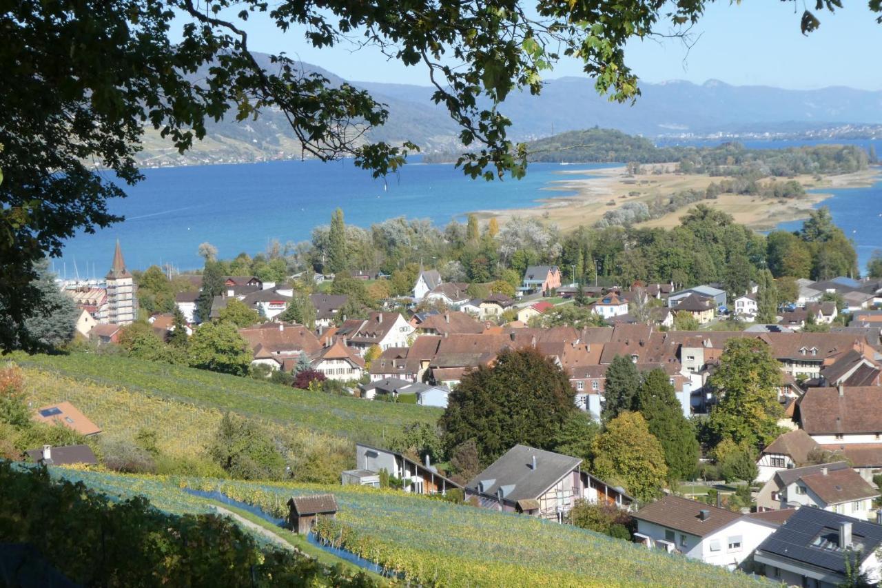 Bed And Breakfast La Petite Thielle Cressier Buitenkant foto